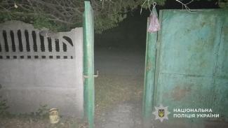 крадіжка