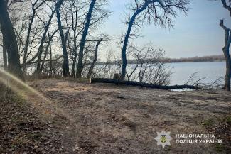 ліс