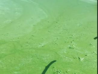 вода
