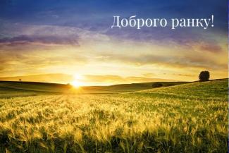 мер