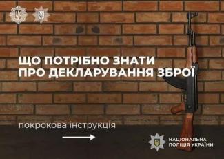 декларування зброї