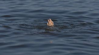 потопельник