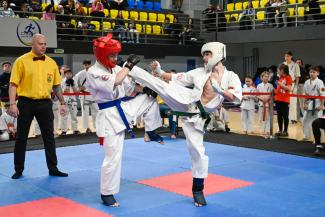 кіокушин-кан карате-до