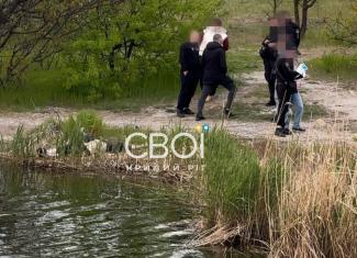 потопельник