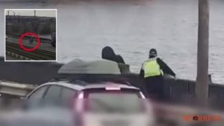 самогубство