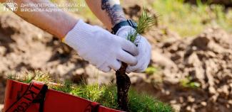 Ліси пам’яті