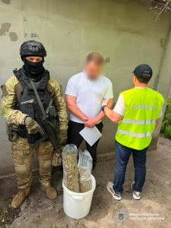 канабіс