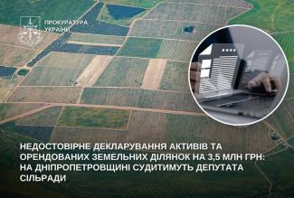 Недостовірне декларування 
