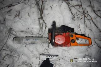 вирубка дерев