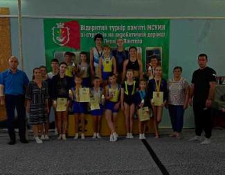 стрибки на акробатичній доріжці