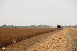 посівна кампанія
