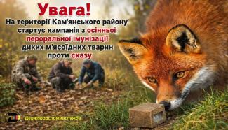 сказ