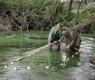 риба