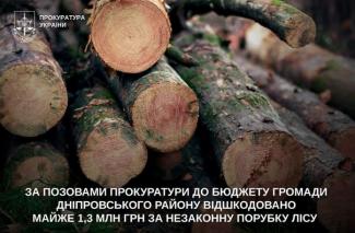 вирубка лісу