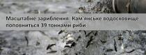 зариблення