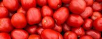 томати