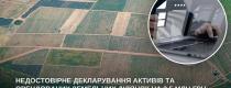 Недостовірне декларування 