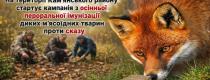 і